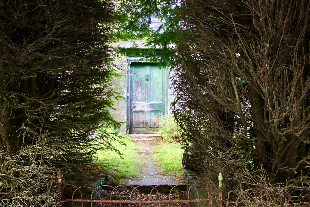 The Green Door by jamibann