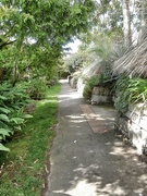 5th Oct 2022 - Up the garden path......
