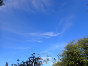 17th Sep 2022 - wispy clouds