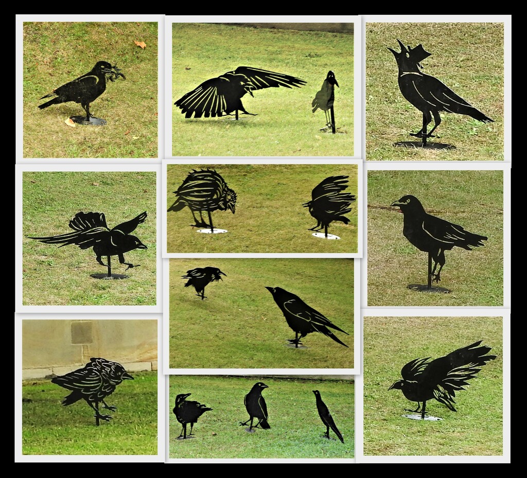 Murder of Crows 2 - Chatsworth by oldjosh