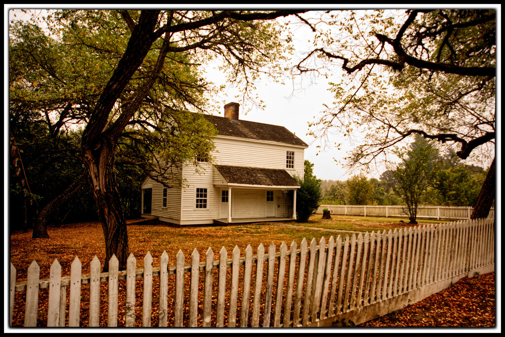 Fiechter House by joysabin