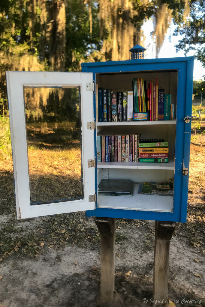Little library by ingrid01