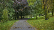 6th Oct 2022 - A walk in the park :-)