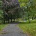 A walk in the park :-) by helstor365