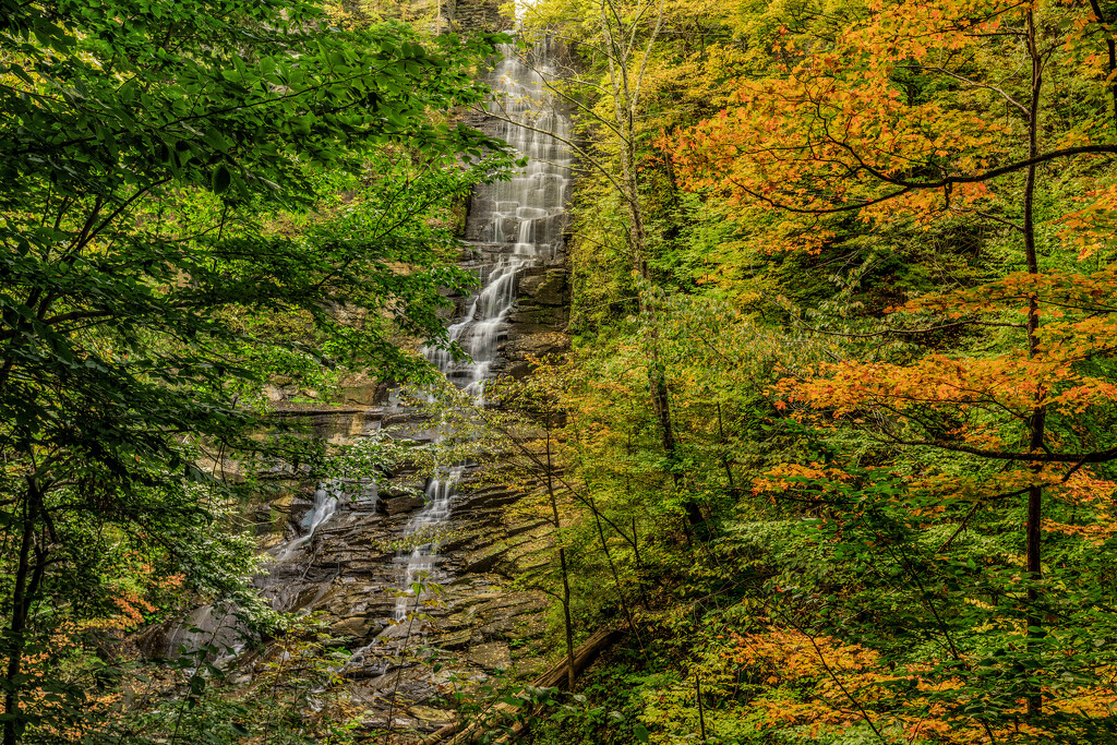 Pratt's Falls by pamalama