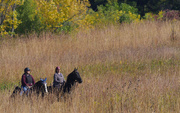 6th Oct 2022 - Autumn horseback riding