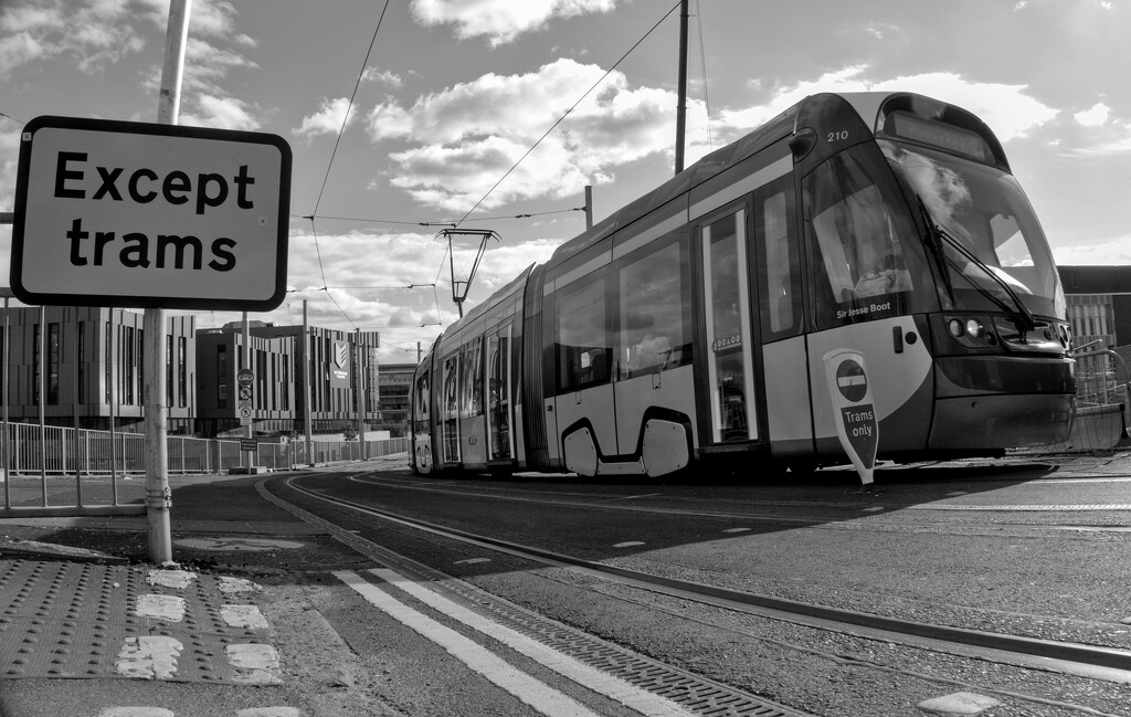 Except Trams by phil_howcroft