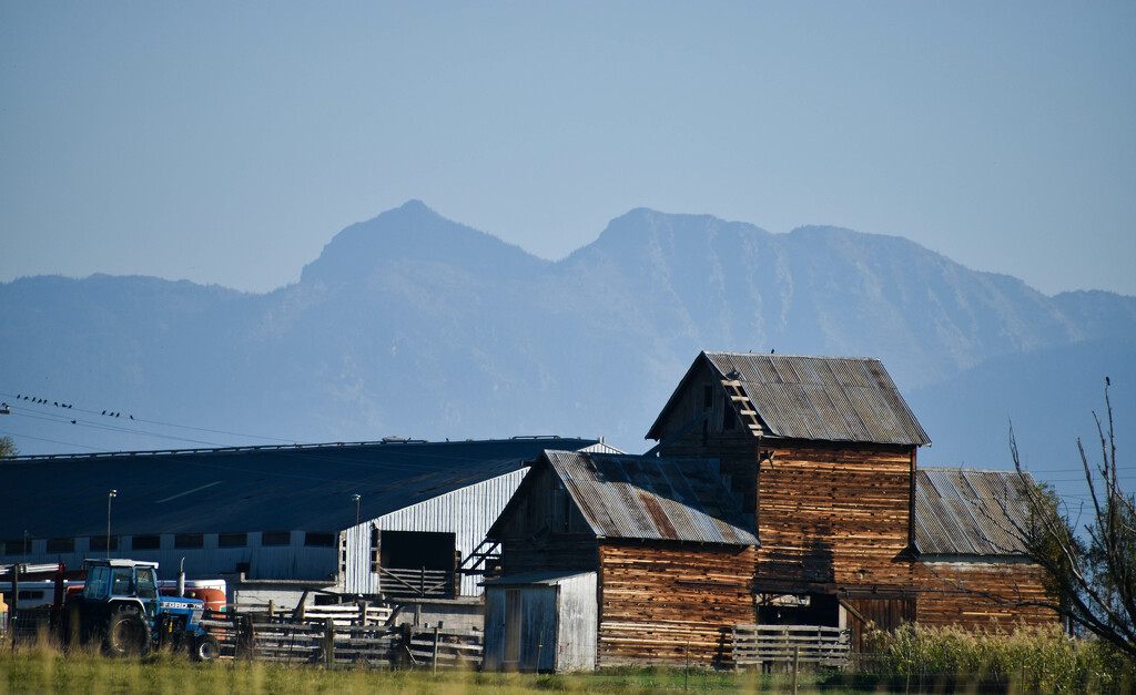 Ranching Beneath The Mission Mountains by bjywamer