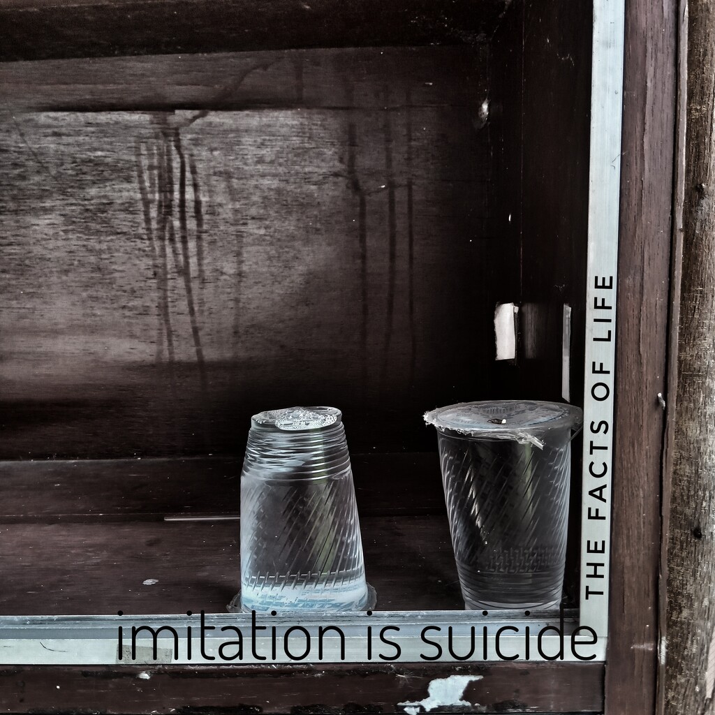 Imitation is suicide by arnica17