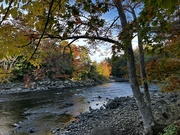 6th Oct 2022 - Autumn comes to Ellsworth, Maine