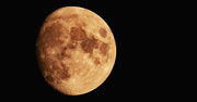 6th Oct 2022 - Just Can't Resist a Bright Moon!
