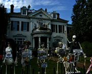 7th Oct 2022 - No place does Halloween like New Orleans