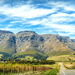  Stellenboschberg  by ludwigsdiana