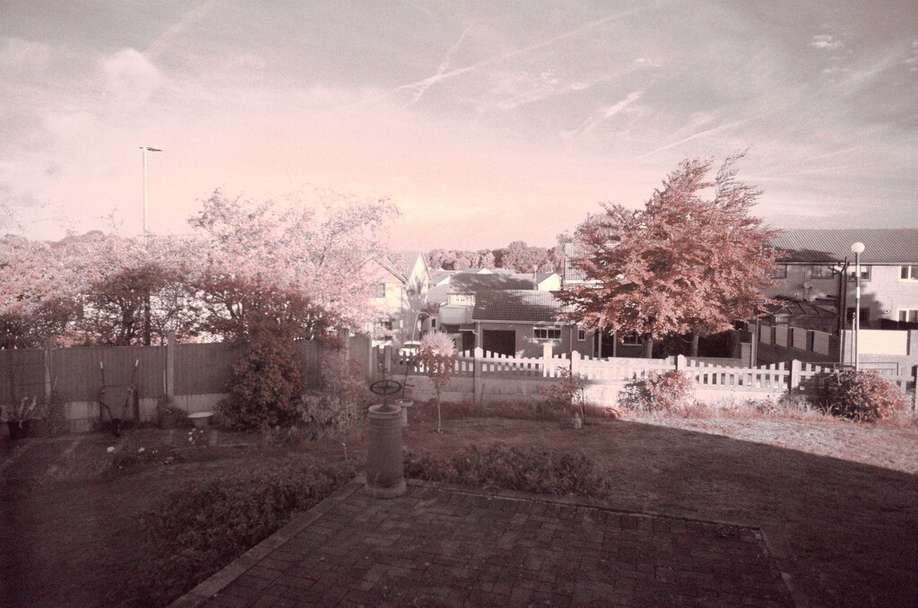 First Infrared Photo by allsop