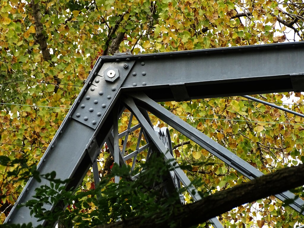 The Bridge by brillomick