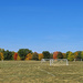 Soccer Fields and Fall Color by lstasel