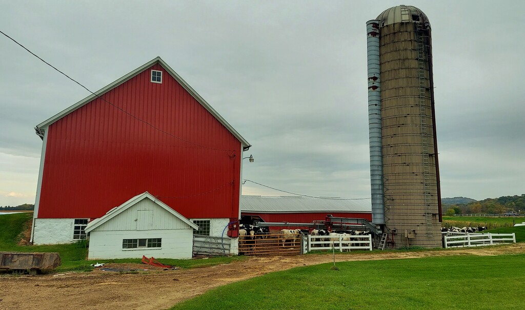 Barn and Silo by harbie