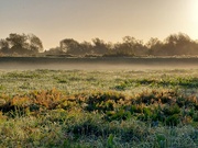 8th Oct 2022 - Early morning near Magor Marsh 