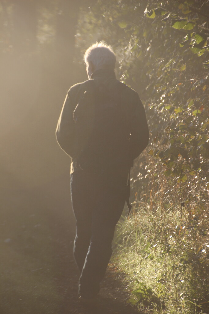 Backlit husband by mariadarby