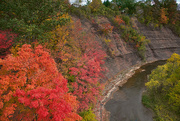 8th Oct 2022 - Looking down on sixteen mile creek in Oakville. 