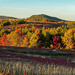 Autumn comes to the Blueberry Barrens by berelaxed