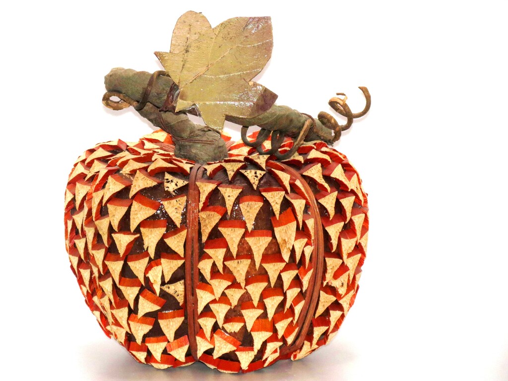 Rugged Pumpkin by grammyn