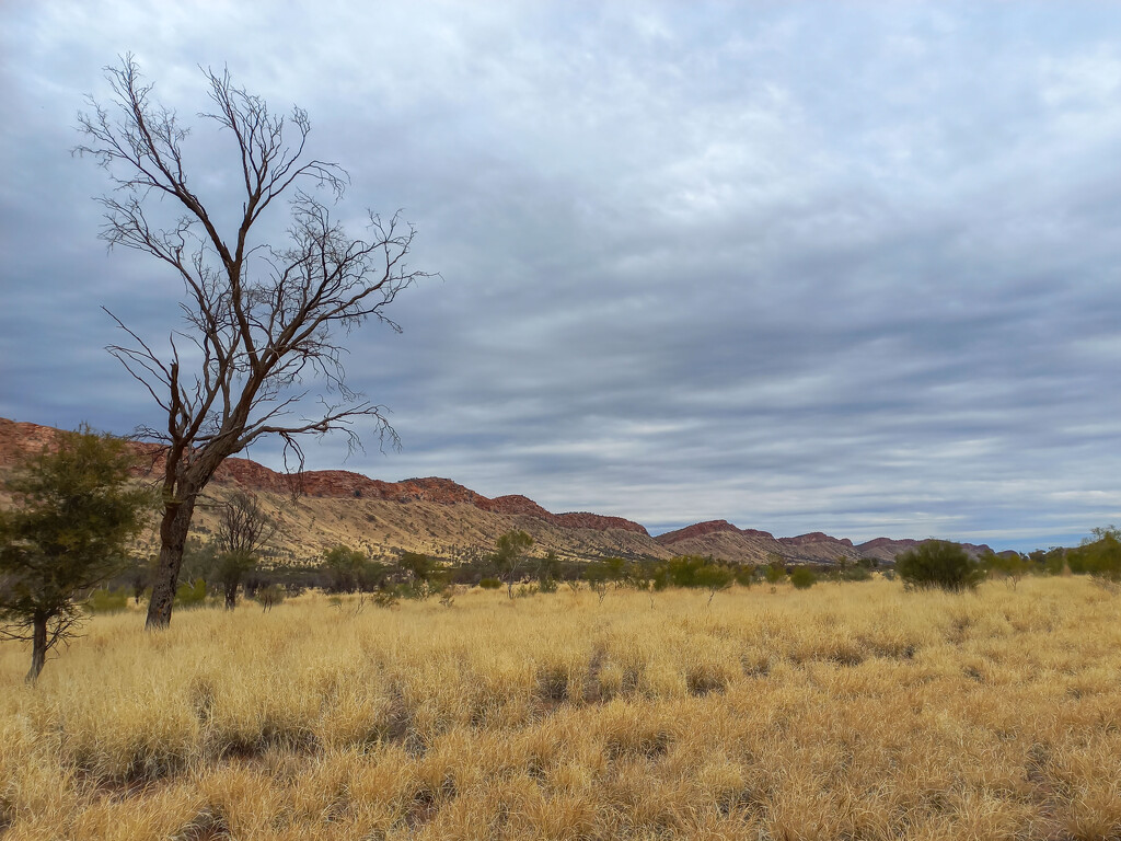 West MacDonnell Ranges by gosia