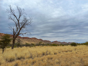 9th Oct 2022 - West MacDonnell Ranges