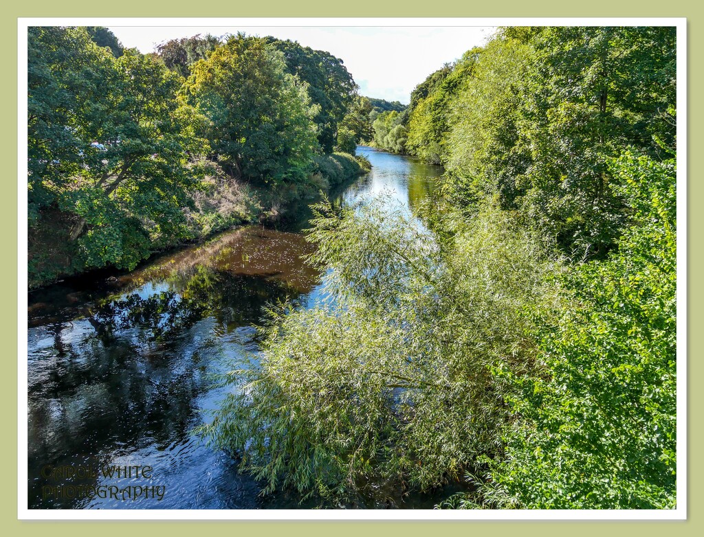 The River Coquet At Felton,Northumberland by carolmw