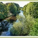 The River Coquet At Felton,Northumberland by carolmw