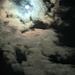 Moonlight  by sarah19