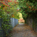 Pathway to Fall by fayefaye