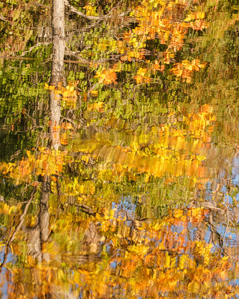autumn reflections by aecasey
