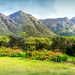 Kirstenbosch Botanical garden by ludwigsdiana