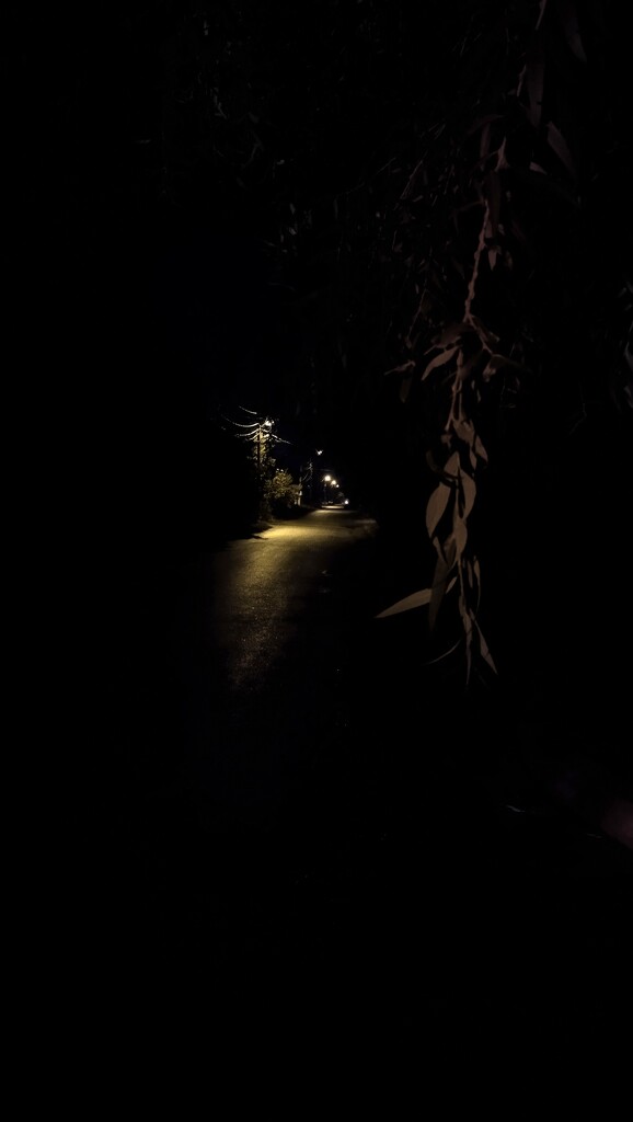 Ночь, улица, фонарь. Аптека далеко  by natalytry