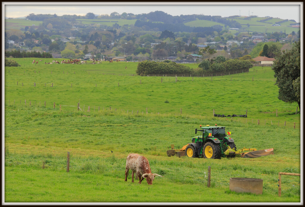 Mowing the silage by dide
