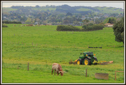 10th Oct 2022 - Mowing the silage