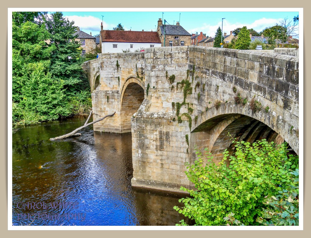 Bridge Over The River Coquet,Felton,Northumberland by carolmw