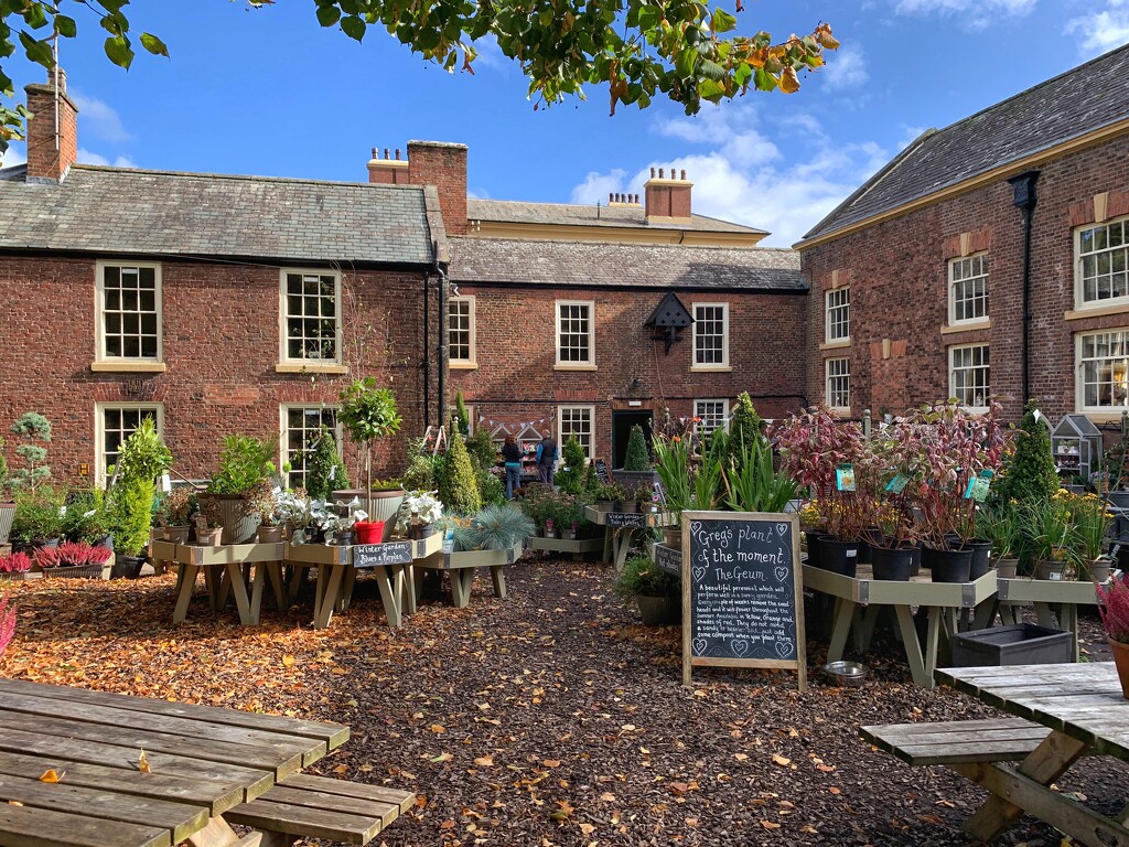 Lytham Hall cafe & garden shop by happypat