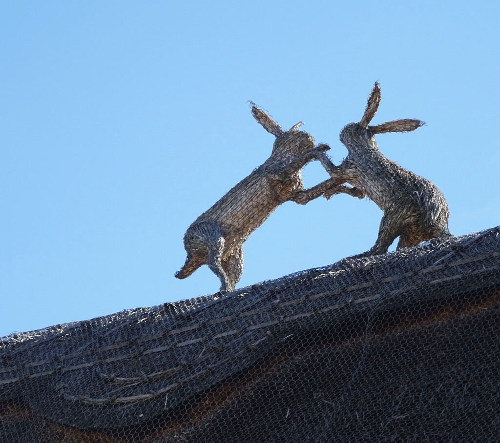 Fighting hares on a thatched cottage in Melbourn, Cambs by marianj