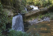 1st Oct 2022 - LHG_7050Raper creek falls near moccasin creek