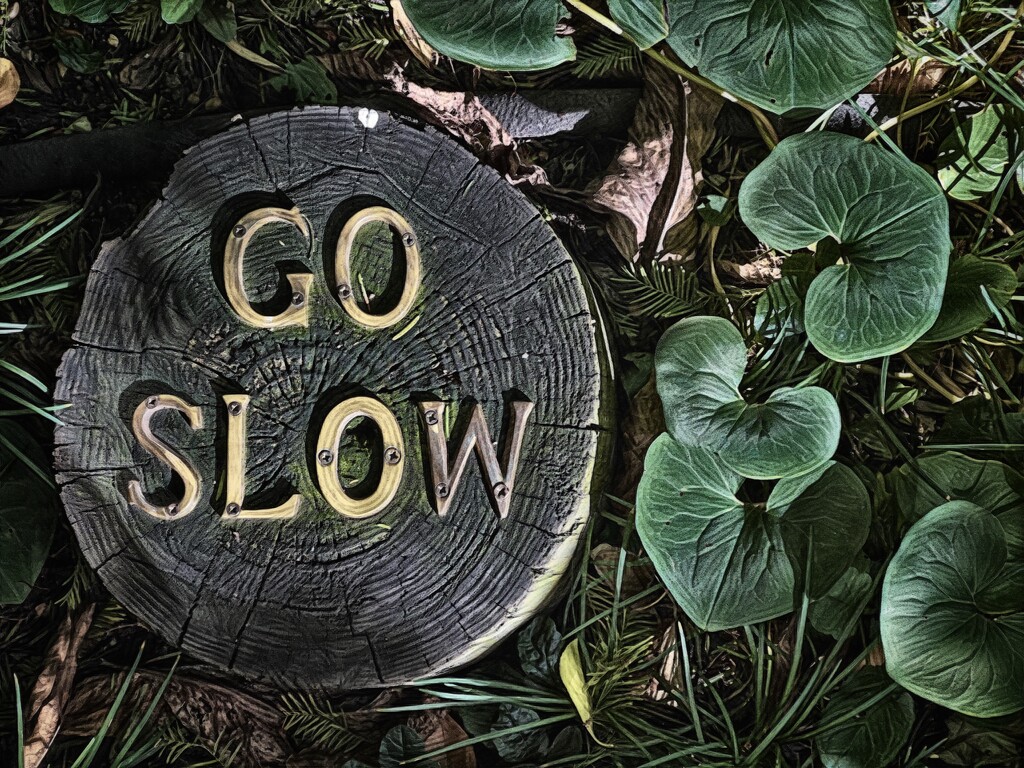 Go Slow by njmom3