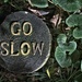 Go Slow by njmom3