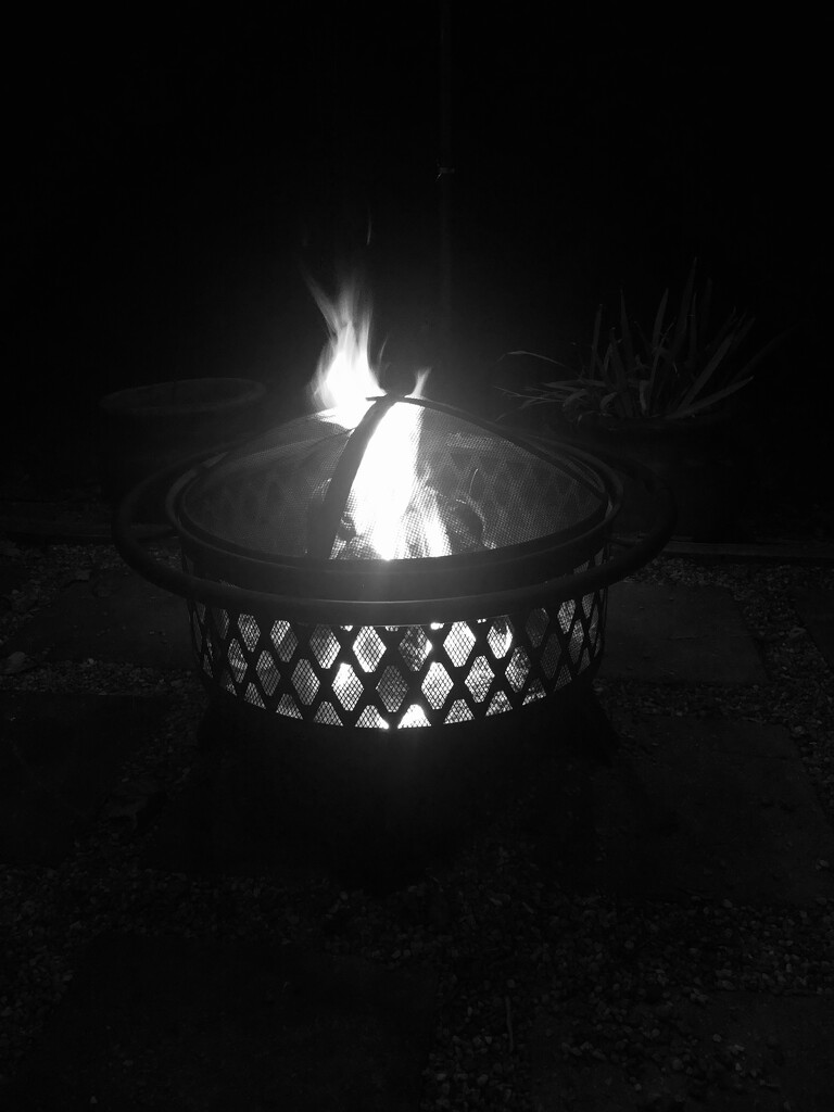 Firepit by dianemhall
