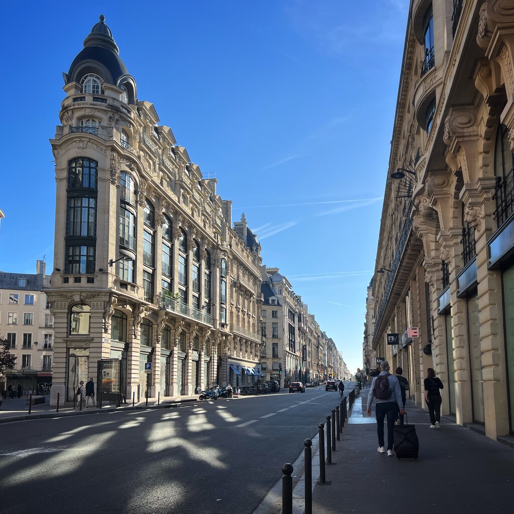 Parisienne architecture  by gaillambert