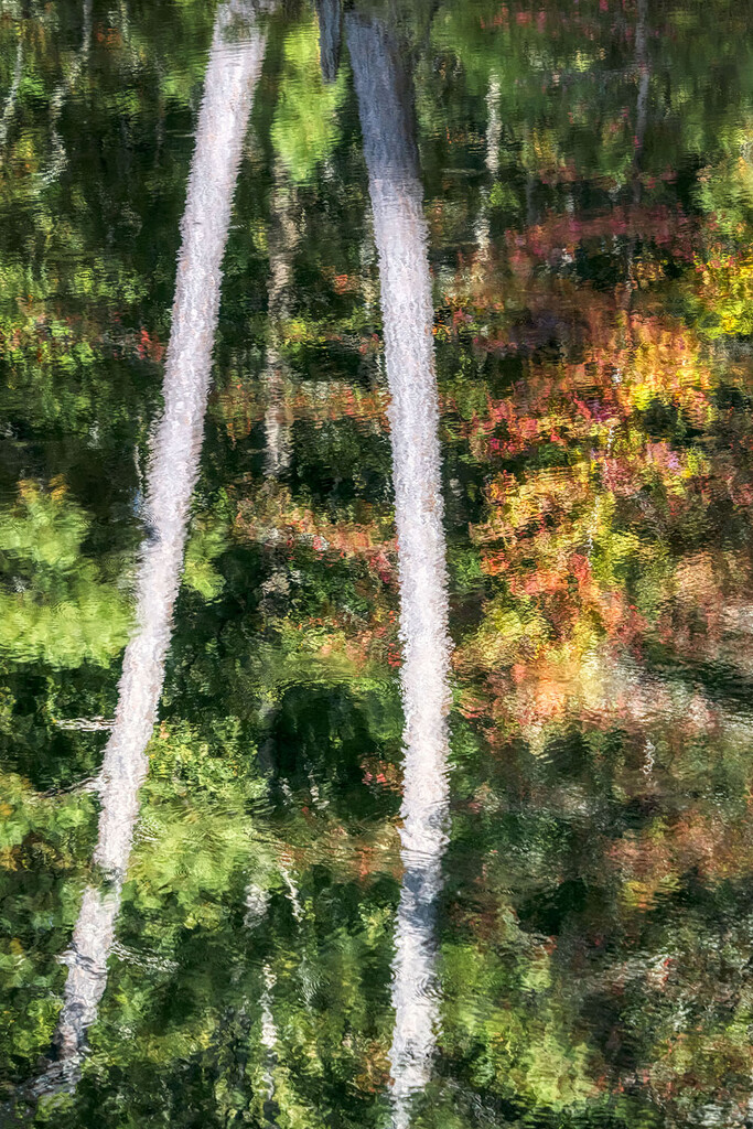 Autumn Reflections #2 by kvphoto