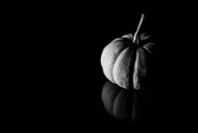 10th Oct 2022 - Little Pumpkin After Dark
