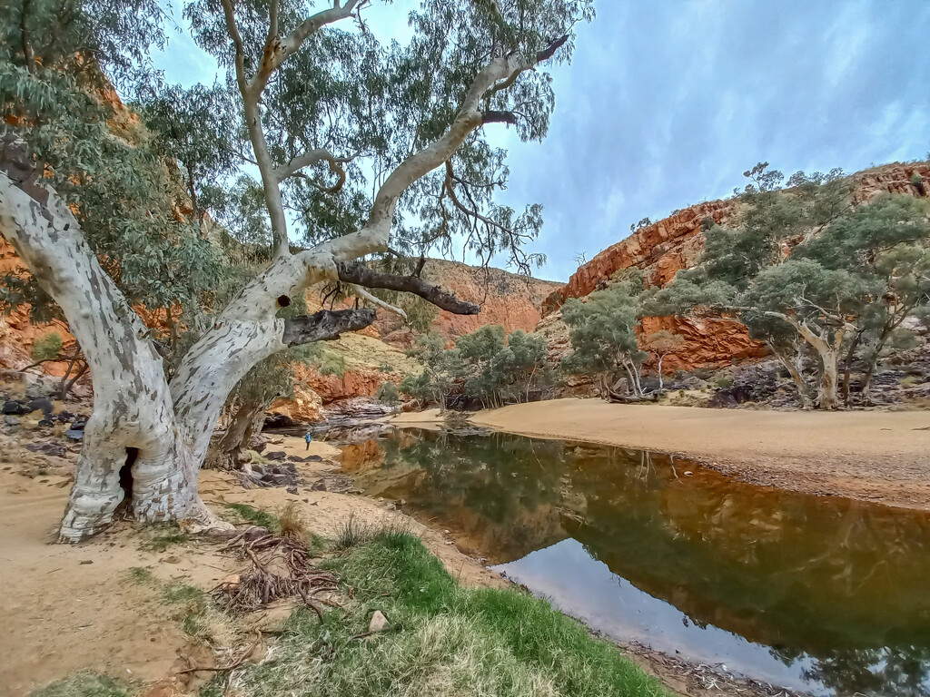 West MacDonnell Ranges-Ormiston Gorge by gosia