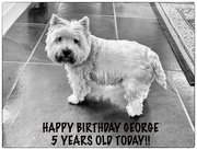 11th Oct 2022 - Happy birthday George