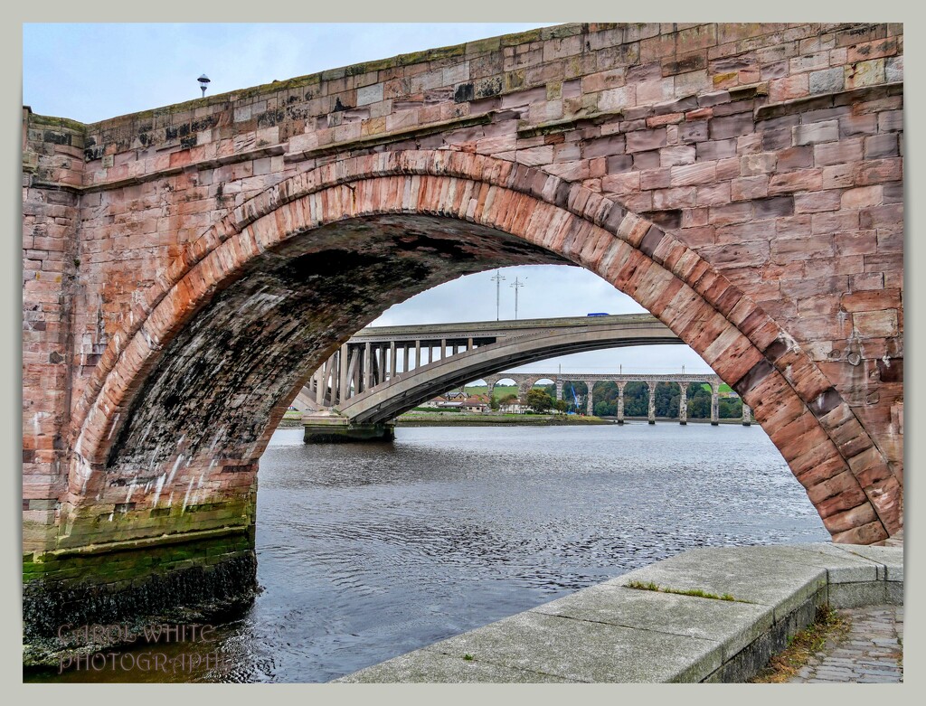 Three Bridges,Berwick-on-Tweed by carolmw